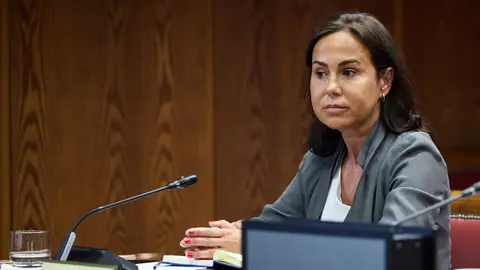 La expresidenta de Adif y ex secretaria de Estado de Transportes, Movilidad y Agenda Urbana, Isabel Pardo de Vera Posada La expresidenta de Adif y ex secretaria de Estado de Transportes, Movilidad y Agenda Urbana, Isabel Pardo de Vera Posada