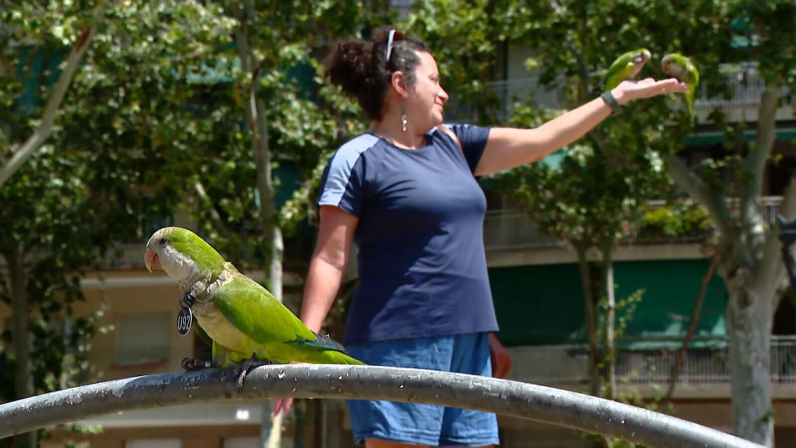 Jóvenes ganan dinero con fotos de turistas y cotorras en el Arco del Triunfo: 