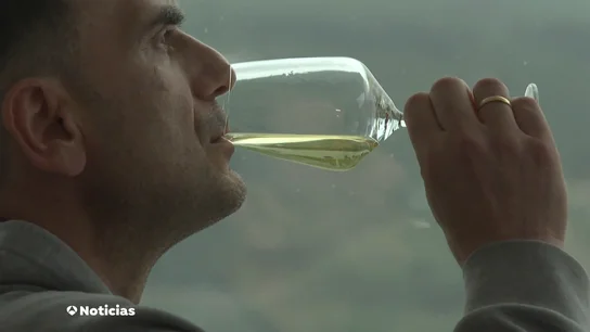 De la cepa al mundo: los vinos españoles se abren paso fuera de nuestras fronteras. De la cepa al mundo: los vinos españoles se abren paso fuera de nuestras fronteras.