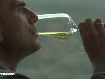  De la cepa al mundo: los vinos españoles se abren paso fuera de nuestras fronteras.