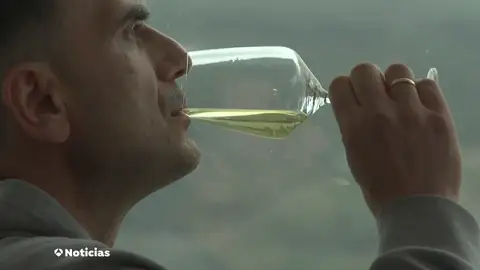 De la cepa al mundo: los vinos españoles se abren paso fuera de nuestras fronteras. De la cepa al mundo: los vinos españoles se abren paso fuera de nuestras fronteras.