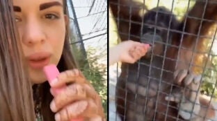 Anastasia Luchkin ofreciendo vaporizador a la orangut&aacute;n Dana