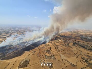 Imagen del incendio en Granyena de Segarra (Lleida)