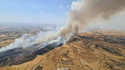 Imagen del incendio en Granyena de Segarra (Lleida) Imagen del incendio en Granyena de Segarra (Lleida)
