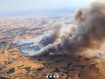 Descartan más víctimas mortales dentro del perímetro del incendio de Torrefeta (Lleida) Descartan más víctimas mortales dentro del perímetro del incendio de Torrefeta (Lleida)