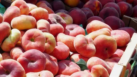 Paraguaya y platerina Paraguaya y platerina