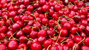 Cerezas contaminadas
