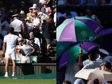 Carlos Alcaraz se preocupa por una aficionada en su partido ante Fognini