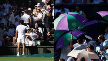 Carlos Alcaraz se preocupa por una aficionada en su partido ante Fognini