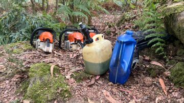 Saturación en el desbroce de fincas en Galicia para evitar incendios y multas: “La demanda es brutal’