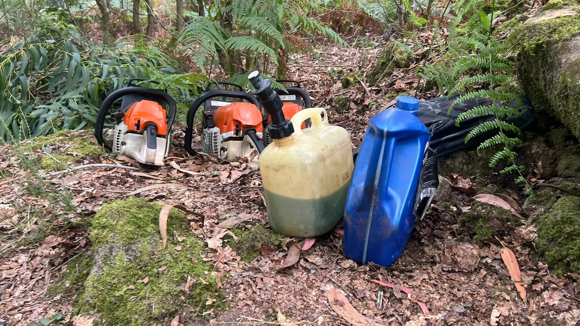 Saturación en el desbroce de fincas en Galicia para evitar incendios y multas: “La demanda es brutal’ Saturación en el desbroce de fincas en Galicia para evitar incendios y multas: “La demanda es brutal’