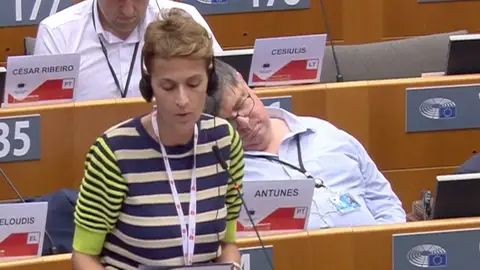 Chivite dormido Chivite dormido