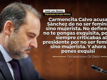 Ábalos en las declaraciones a Ok Diario
