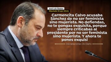 Ábalos en las declaraciones a Ok Diario