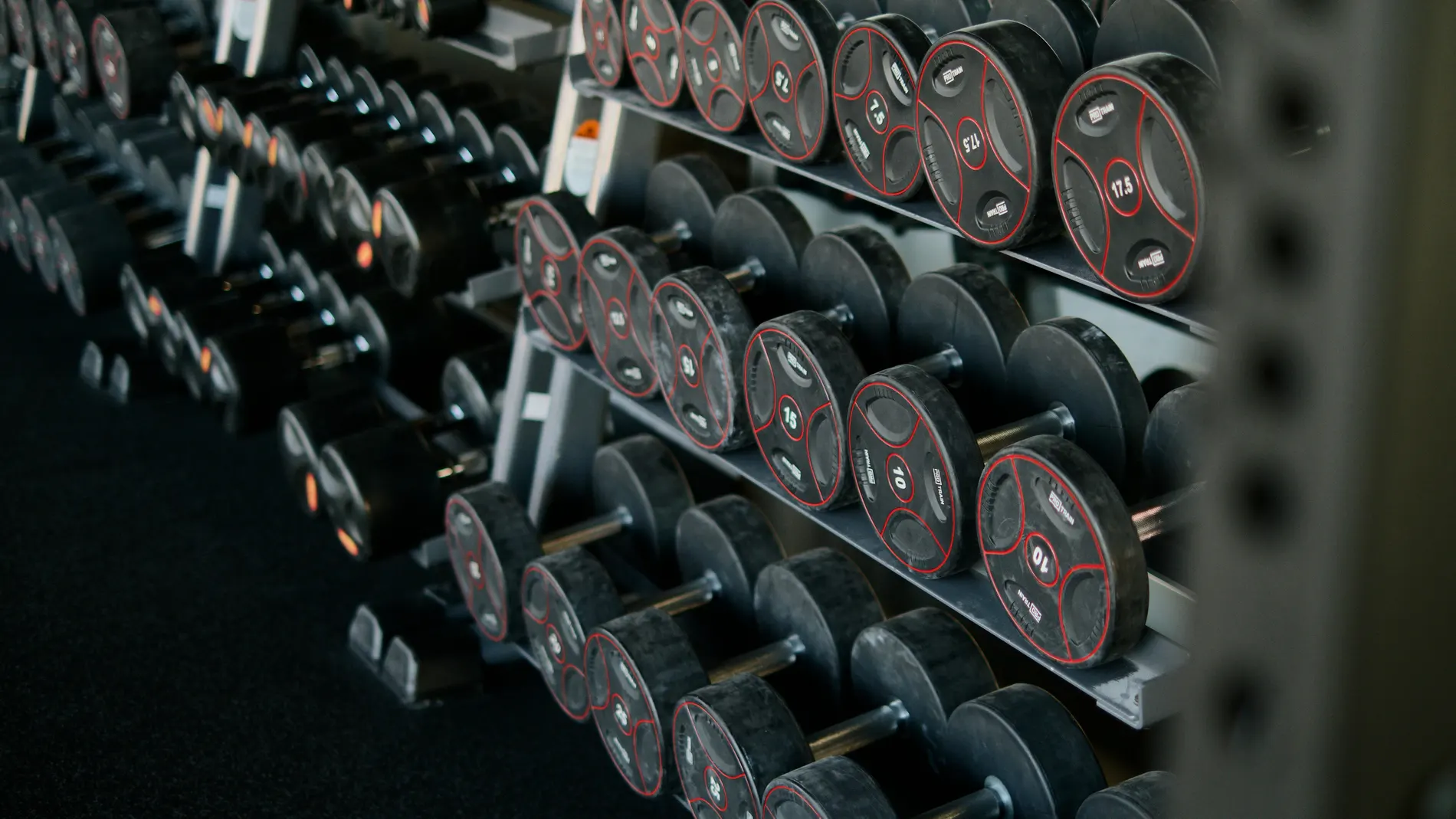 Mancuernas en un gimnasio Mancuernas en un gimnasio