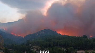  El incendio forestal de Paüls 