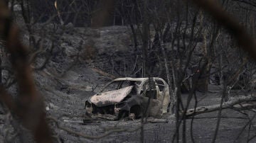 A3 Noticias 2 (08-07-25) Incendio en Paüls en directo: más de 3.000 hectáreas calcinadas, más de un tercio en el parque de Els Ports