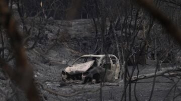  Bomberos no prevén estabilizar el incendio de Tarragona hasta la noche y sigue el confinamiento