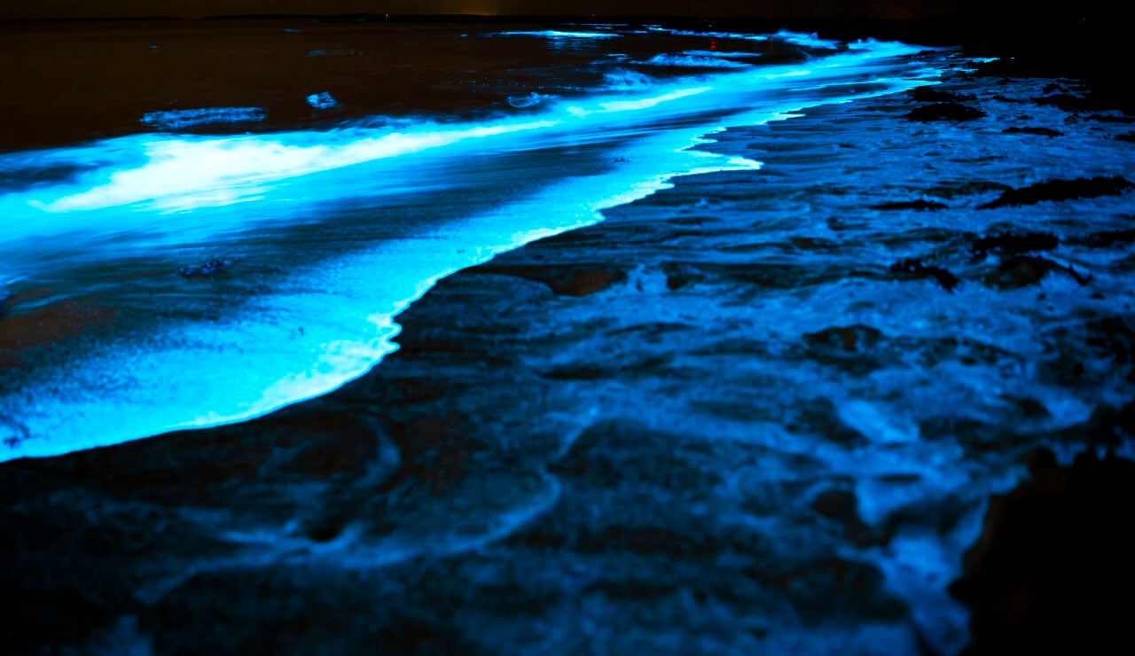 Playa bioluminiscente, mar de ardora