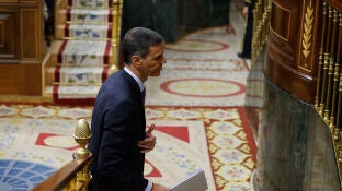 El presidente del Gobierno, Pedro S&aacute;nchez