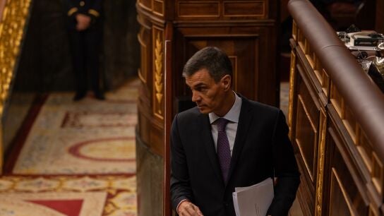 Pedro S&aacute;nchez