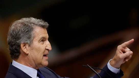El líder del PP, Alberto Núñez Feijóo en el Congreso de los Diputados El líder del PP, Alberto Núñez Feijóo en el Congreso de los Diputados