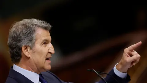El líder del PP, Alberto Núñez Feijóo en el Congreso de los Diputados El líder del PP, Alberto Núñez Feijóo en el Congreso de los Diputados