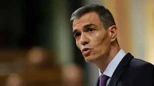 Pedro Sánchez en el Congreso de los Diputados Pedro Sánchez en el Congreso de los Diputados