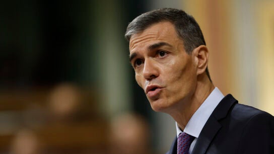 Pedro S&aacute;nchez en el Congreso de los Diputados