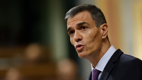 Pedro Sánchez en el Congreso de los Diputados Pedro Sánchez en el Congreso de los Diputados