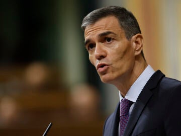 Pedro Sánchez en el Congreso de los Diputados