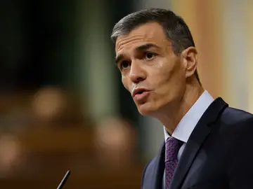 Pedro Sánchez en el Congreso de los Diputados Pedro Sánchez en el Congreso de los Diputados