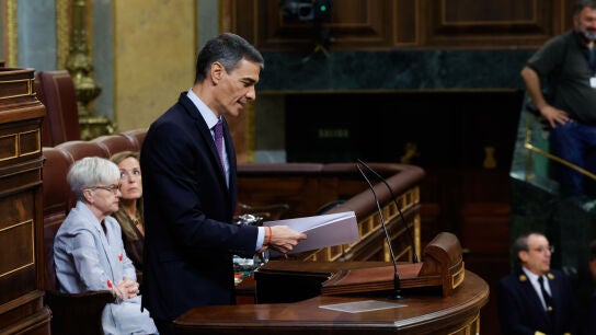Pedro S&aacute;nchez 