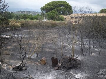 Una zona afectada por el incendio