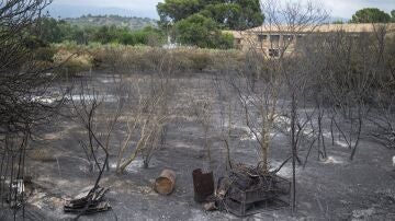 Una zona afectada por el incendio