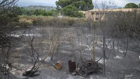 Una zona afectada por el incendio Una zona afectada por el incendio