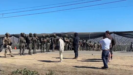 Redadas migratorias en dos granjas de cannabis en California