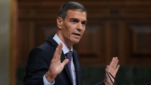 Pedro S&aacute;nchez
