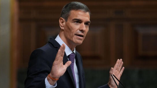 Pedro S&aacute;nchez