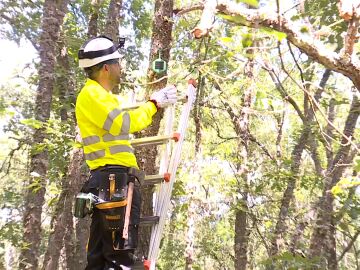 Especialistas colocando sensores anti-incendios en Soria Especialistas colocando sensores anti-incendios en Soria