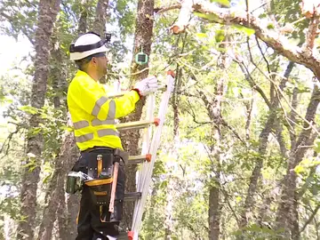 Especialistas colocando sensores anti-incendios en Soria Especialistas colocando sensores anti-incendios en Soria