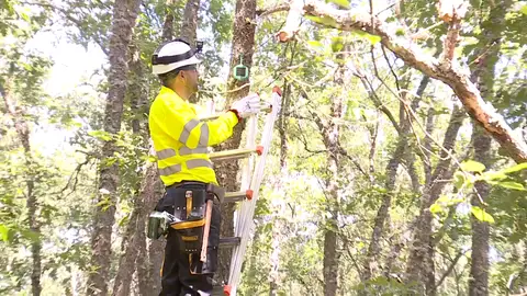 Especialistas colocando sensores anti-incendios en Soria Especialistas colocando sensores anti-incendios en Soria