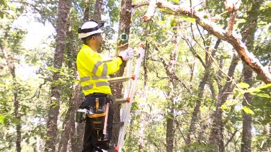 Instalan sensores en los Bosques de Soria para alertar de Incendios