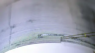 Sismógrafo tras un terremoto Sismógrafo tras un terremoto