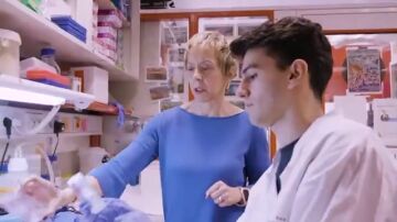 Primer candidato a fármaco oncológico que ha llegado a estudios en pacientes