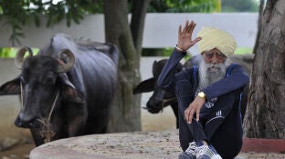 El maratoniano Fauja Singh en Jalandhar, India