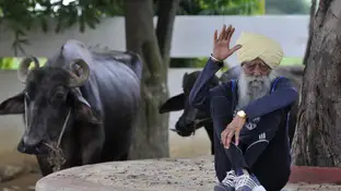 El maratoniano Fauja Singh en Jalandhar, India El maratoniano Fauja Singh en Jalandhar, India