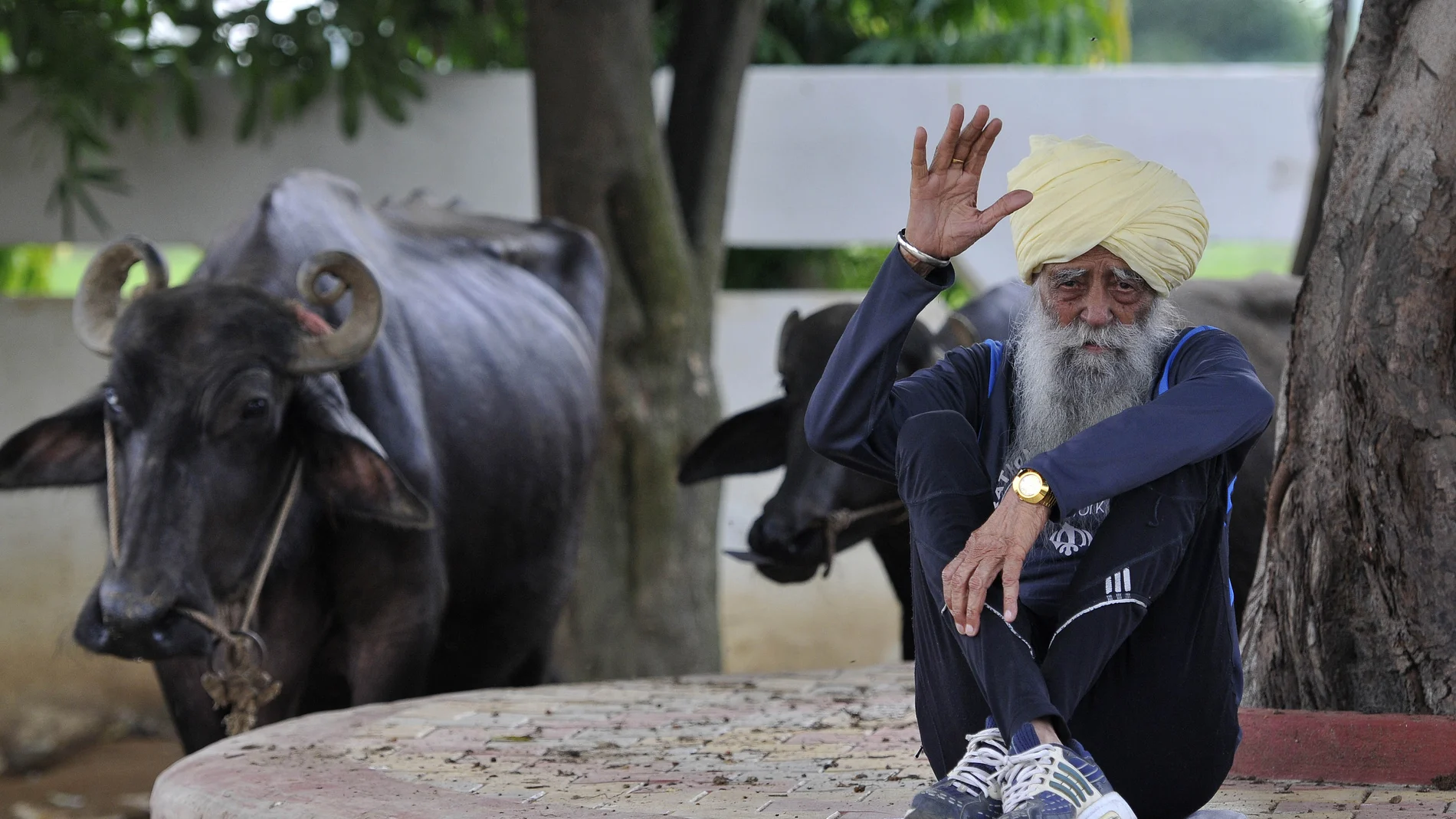 El maratoniano Fauja Singh en Jalandhar, India El maratoniano Fauja Singh en Jalandhar, India