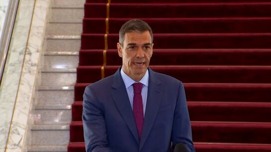 Pedro S&aacute;nchez