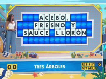 ¡Qué desastre! El nombre de un árbol le juega una mala pasada a Laura en el panel final